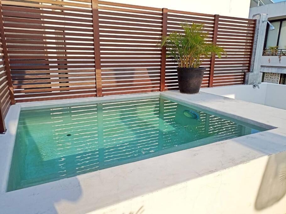 Apartment Spacious 3bdr Penthouse Aldeazama Pvt Pool Terrace Xaman Tulum